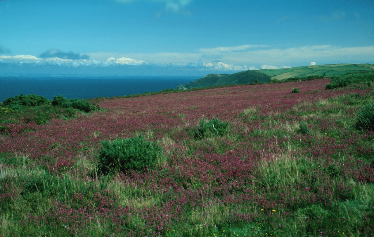 North_Devon_Exmoor_02